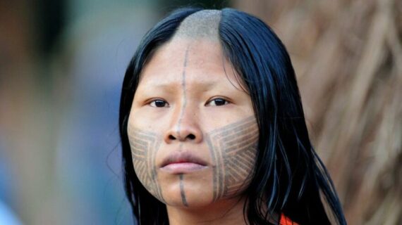 Bolivya’daki Amazon ormanlarında yaşayan Tsimane adlı yerli halkın beyni incelendi