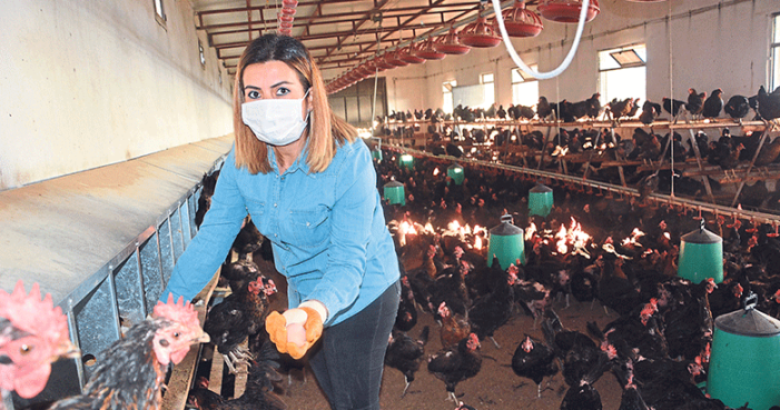 Güne yumurta içeren bir kahvaltıyla başlayın