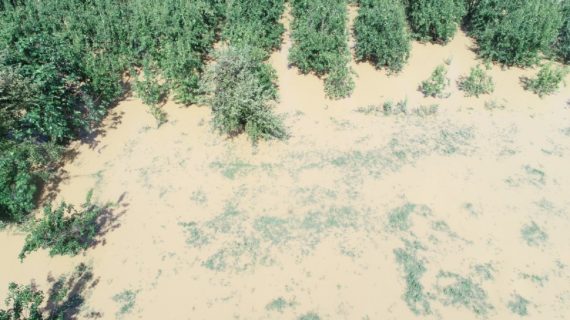 Bursa’da sel felaketi: Hayatını kaybedenlerin sayısı artıyor!