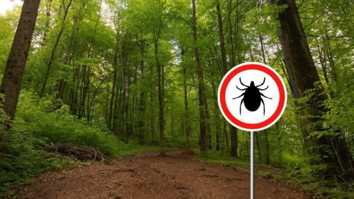 Kırım Kongo Kanamalı Ateşi belirtileri neler?..