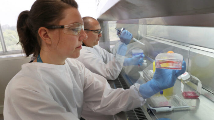 COVID-19: Virüs 28 gün yüzeyde kalabiliyor