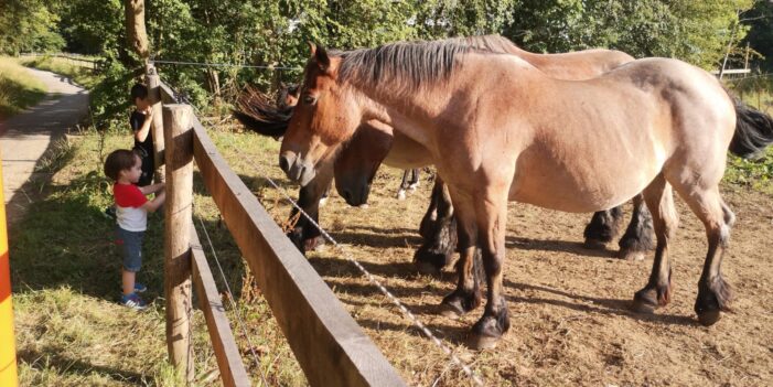 Anekder: Bugün Hayvanları Koruma Günü!..