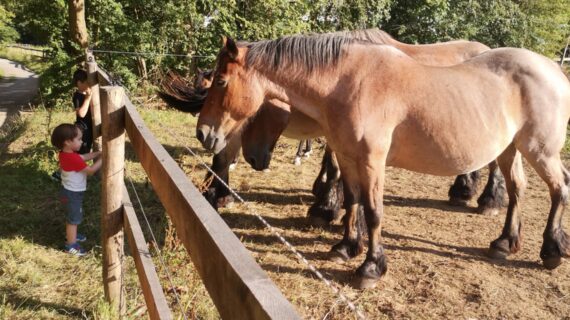 Bugün Hayvanları Koruma Günü!.. Bugün Hayvanları Koruma Günü!..