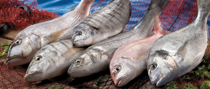 “Taze balık deniz kokar!..”