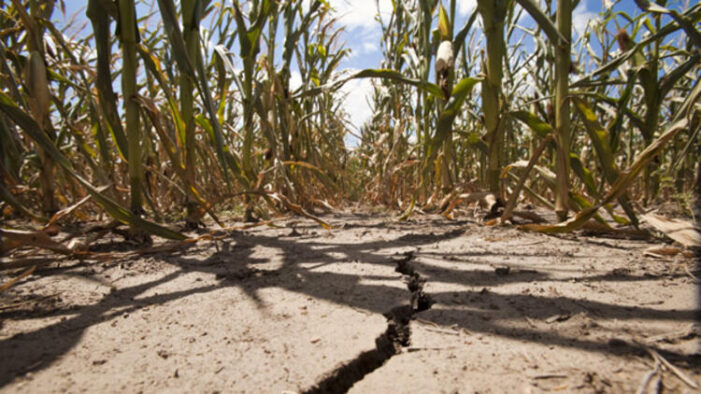 17 Haziran’da kutlanan Dünya Çölleşme ve Kuraklıkla Mücadele Günü’nün bu yılki teması “Tahrip olmuş arazileri sağlığına kavuşturmak”