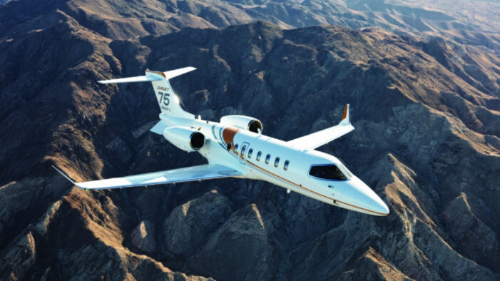 Yolcu uçağına yarasa girdi