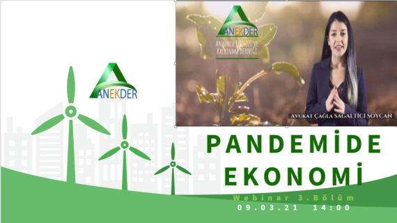 Anekder: “Küresel salgın finansal krize dönüştü!..”