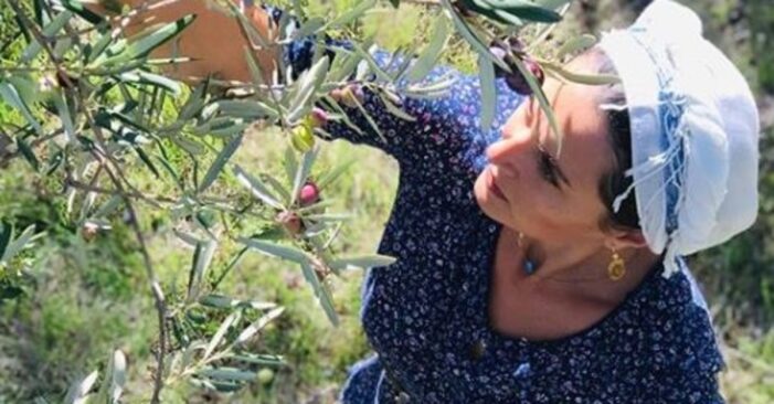 Zeytinyağında toksin şoku!..