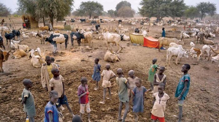 Avrupa Birliği ‘Güney Sudan’a yardım edecek