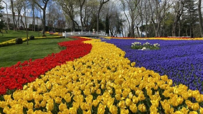 İstanbul’da lale devri başladı