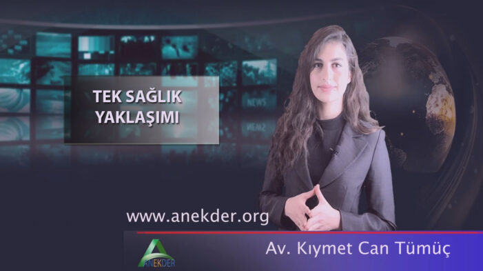 Anekder: Tek Sağlık Sistemi…