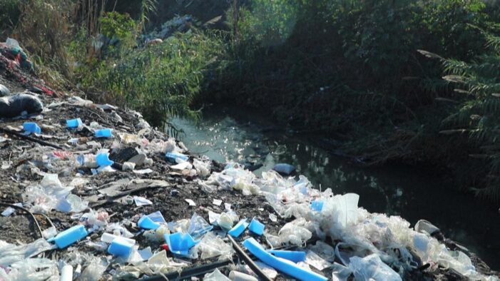 Greenpeace: Türkiye plastik atıkların toplayıcısı oldu!..