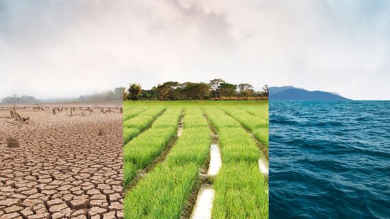 Yatırımcılar için en önemli sorun iklim değişikliği!.. Yatırımcılar için en önemli sorun iklim değişikliği!..