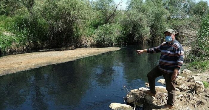 Alaşehir Çayından zehir akıyor!..