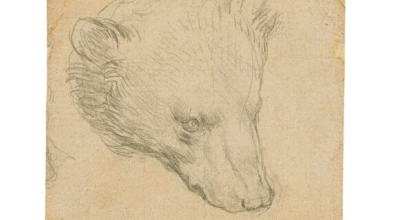 Leonardo da Vinci’nin yaptığı ayı kafası taslağı müzayedede..