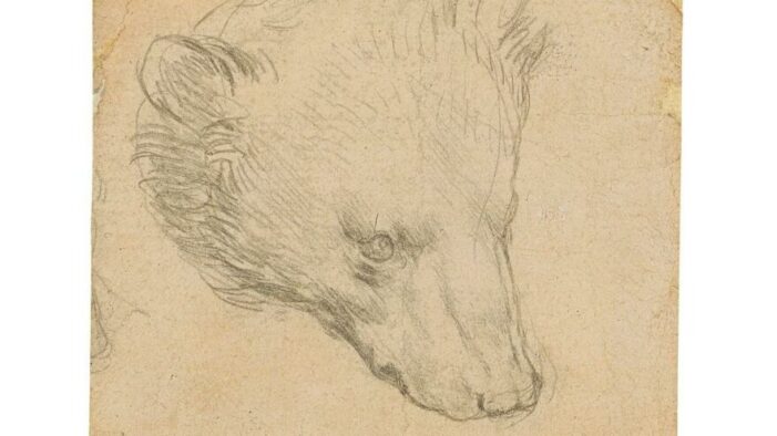 Leonardo da Vinci’nin yaptığı ayı kafası taslağı müzayedede..