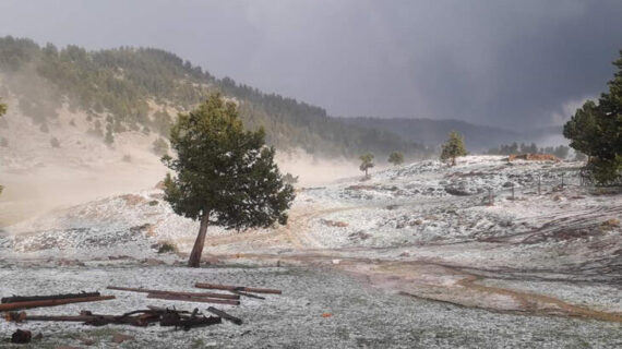 Adana’da yağan dolu nedeniyle bölge beyaza büründü..