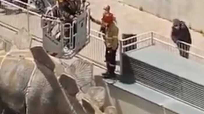 Dinozor heykelinin içinden kayıp kişinin cesedi çıktı