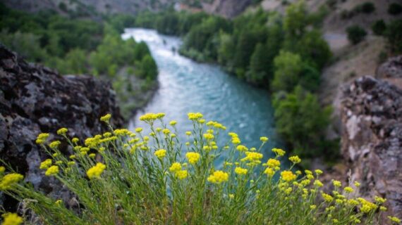 Munzur Vadisi için “Tarihi karar”