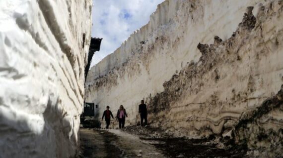Hakkari’de karla mücadele çalışmaları devam ediyor!..