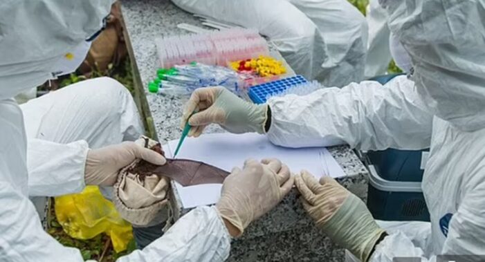 Covid-19’un Wuhan’daki laboratuvardan çıkışına ilişkin inceleme raporu!..