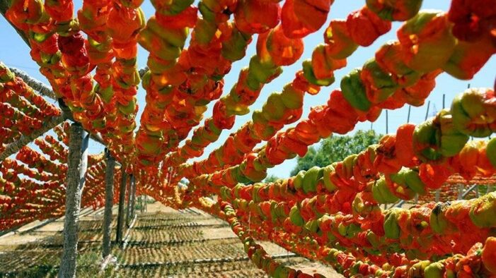 Gastronomi kenti Gaziantep’te renk cümbüşü başladı