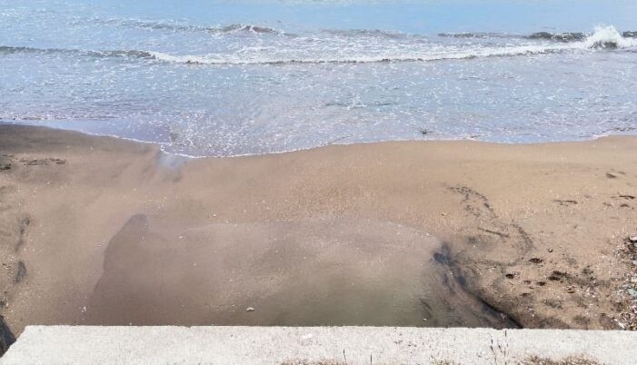 Karadeniz’de deniz salyası görüldü