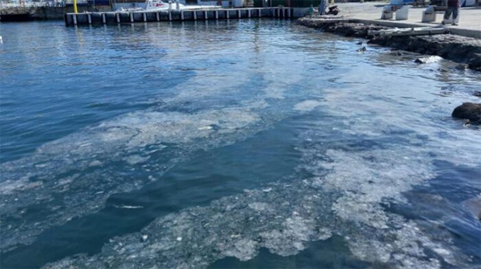 Ege Denizi’nde müsilaj kabusu!..