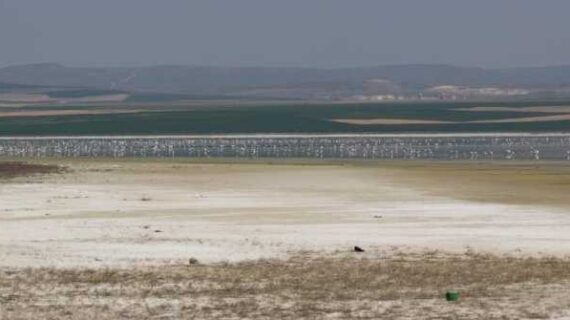 Flamingoların yaşam alanı “Düden Gölü” kurudu
