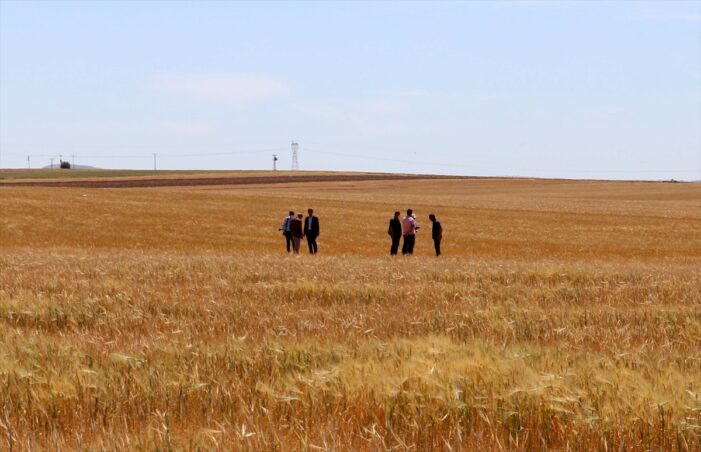 “Kuraklığın boyutu sahada tespit ediliyor”
