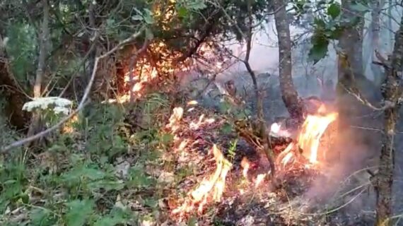 Yangın 4 gündür söndürülemiyor!..