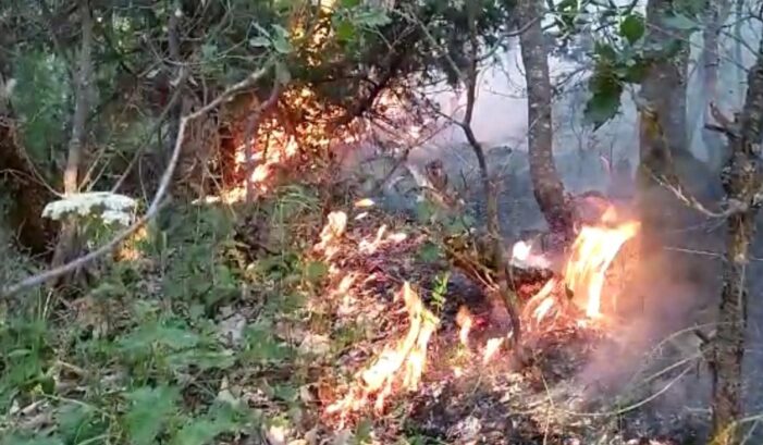 Yangın 4 gündür söndürülemiyor!..