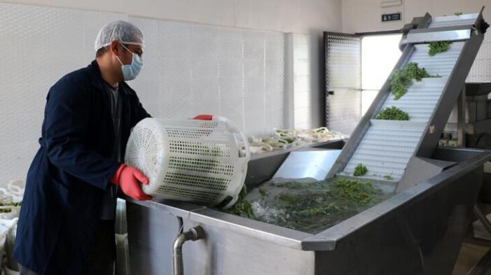 Enstitü üretimindeki doğal koruk suyu yoğun ilgi görüyor