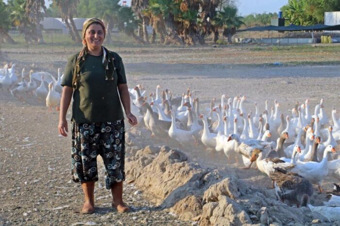 4 bileziğini satıp hayvancılık işine girerek milyonluk servetin sahibi oldu