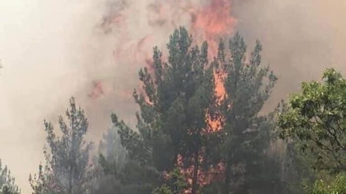 Söndürülemeyen orman yangını 3 gündür devam ediyor