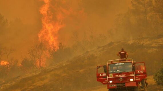 İki günde 17 ilde 58 orman yangını çıktı!..
