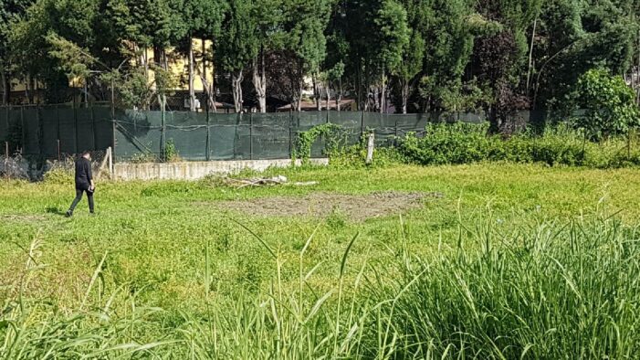 Köpeğinin ağzında insan uzvu olduğunu gören vatandaşlar durumu polise bildirdi