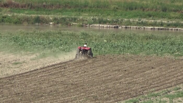 Kuraklığın etkisiyle suların çekildiği barajda tarım ve hayvancılık yapılıyor