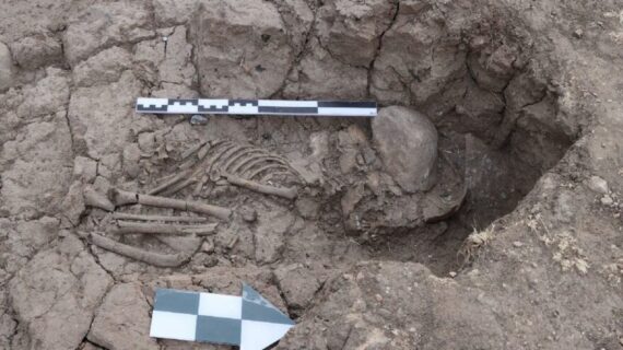 Arkeolojik kazı çalışmalarında 5 bin 500 yıllık çocuk iskeleti bulundu