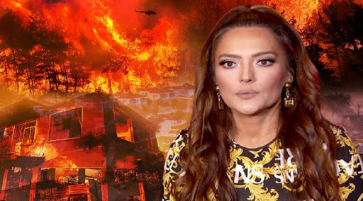 AB Türkiye Delegasyonu ile şarkıcı Demet Akalın arasında “yangın söndürme” diyalogu yaşandı