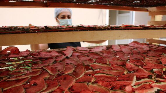 Hıdıroz Karpuzu’ndan doğal cipsi dünyaya ihraç ediyor Hıdıroz Karpuzu’ndan doğal cipsi dünyaya ihraç ediyor