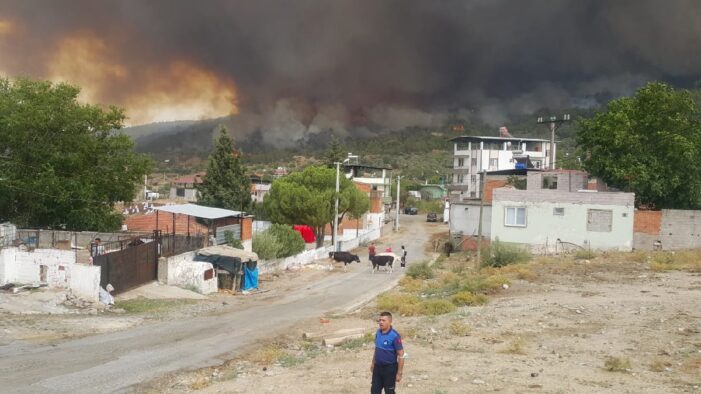 Aydın’a sıçrayan orman yangınında 6 mahallede bazı evler tahliye edildi