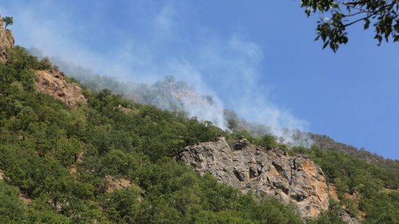 Tunceli’de orman yangını yeniden başladı