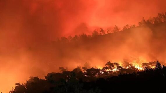 İzmir’de Menderes orman yangını davasında güvenlik kameraları incelenecek