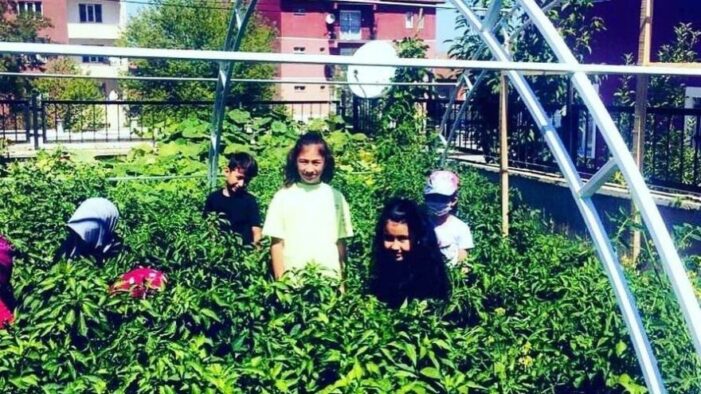 İlkokul bahçesinde “Yerli tohum tarım atölyesi” heyecanı!..