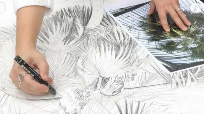 Lahana palmiyesi “içinde bulunduğu yapıya zarar verdiği için” kesilecek