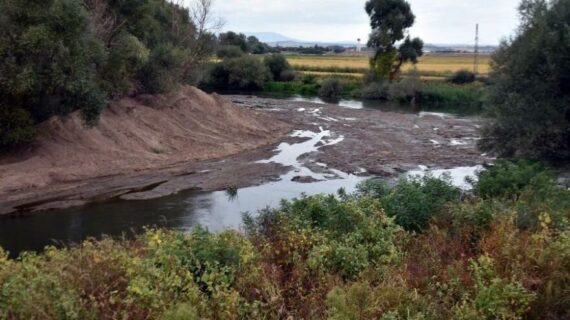 Kuraklık nedeniyle Tunca Nehri’nde bir karış su kaldı