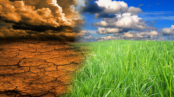 İklim değişikliği anketi: “Kimse değişmek istemiyor!..”