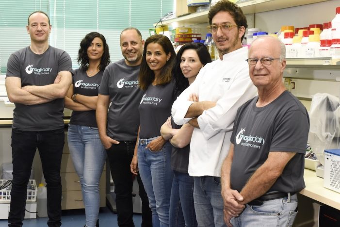 Imagindairy  ‘ineksiz inek sütü’ üretmeyi başardıklarını açıkladı