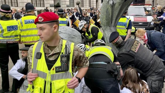İngiltere’de çevreciler geçit töreninde eylem yaptı
